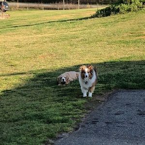 Meet your Posher, Michele